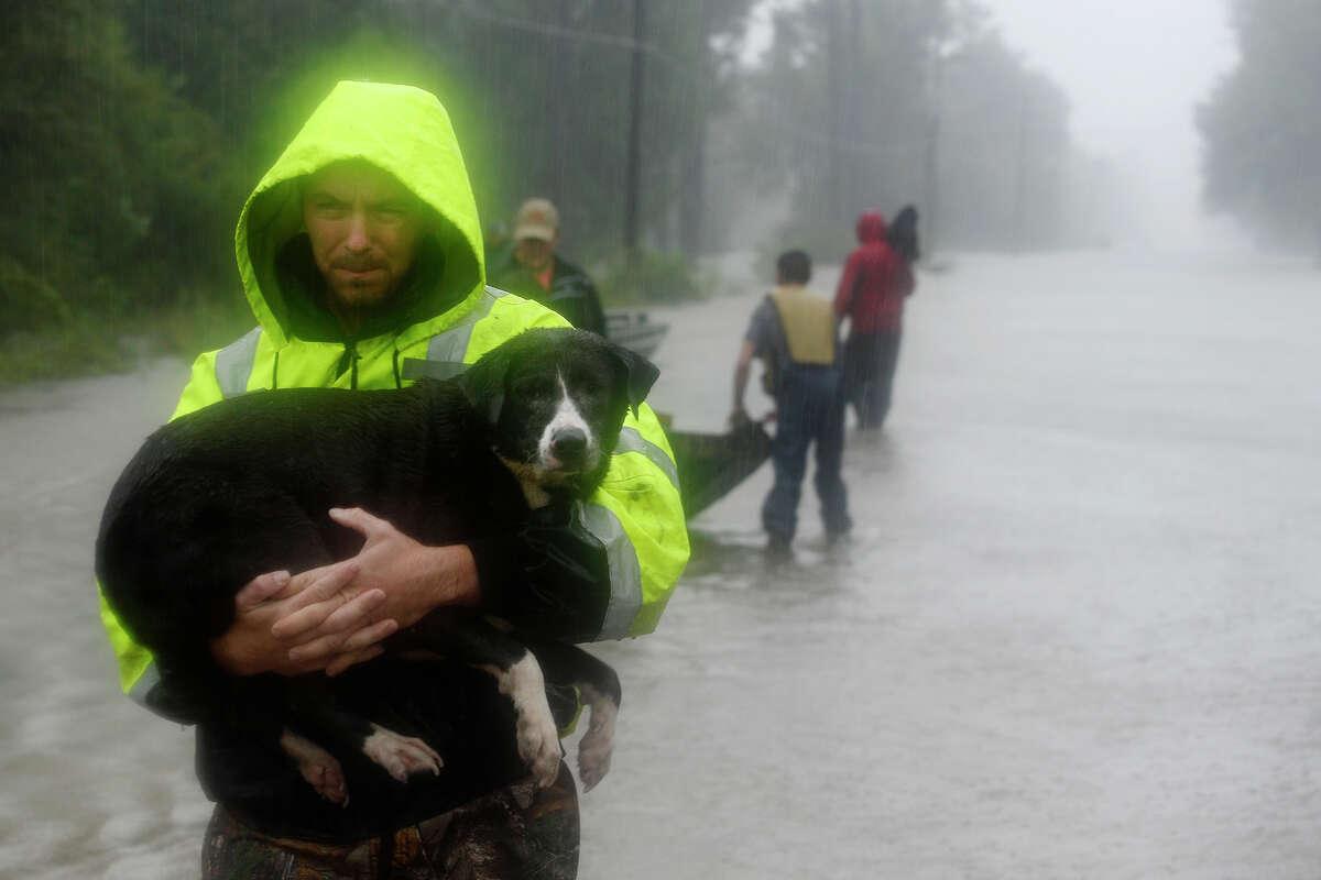 A rescuer carries a dog to safety from the flooding on Tram Road in Beaumont on Tuesday. Volunteers convened in the area with their boats to help rescue residents and their animals. Photo taken Tuesday 8/29/17 Ryan Pelham/The Enterprise
