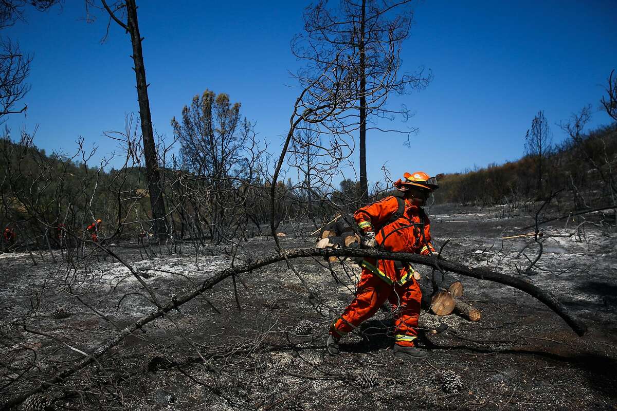 An inmate from the Delta Conservation Camp #8 organizes wood while mopping up the Canyon fire in Napa, Calif., on Tuesday, Aug. 15, 2017.