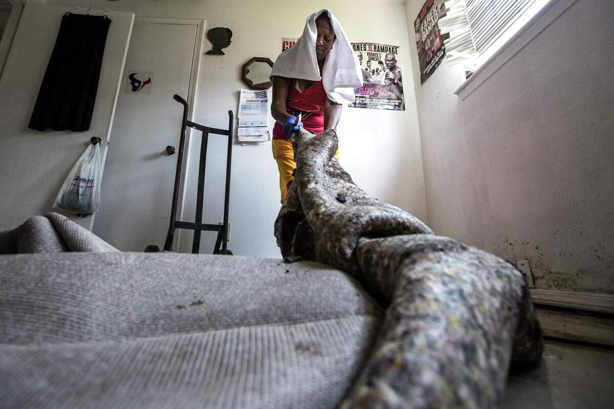 Margaret Shelton rips up flood-soaked carpet from her home in the aftermath of Tropical Storm Harvey in the Parkway Forest subdivision on Thursday.