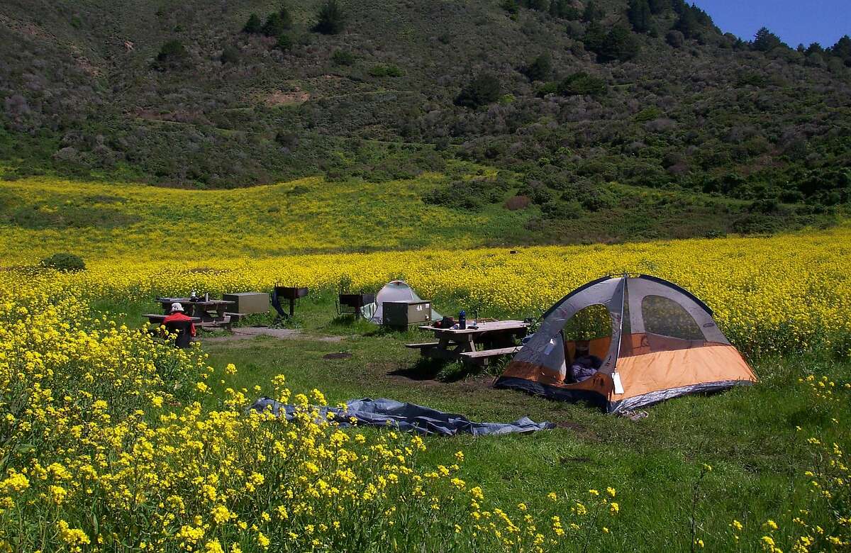 Wildcat Camp, a hike-in backpacker's camp at Point Reyes National Seashore within close range of a wilderness beach, is one of the Bay Area's most popular campgrounds, with all campsites booked full all weekends from late summer and into fall and a sprinkling of available dates on weekdays Wildcat camping site No. 4