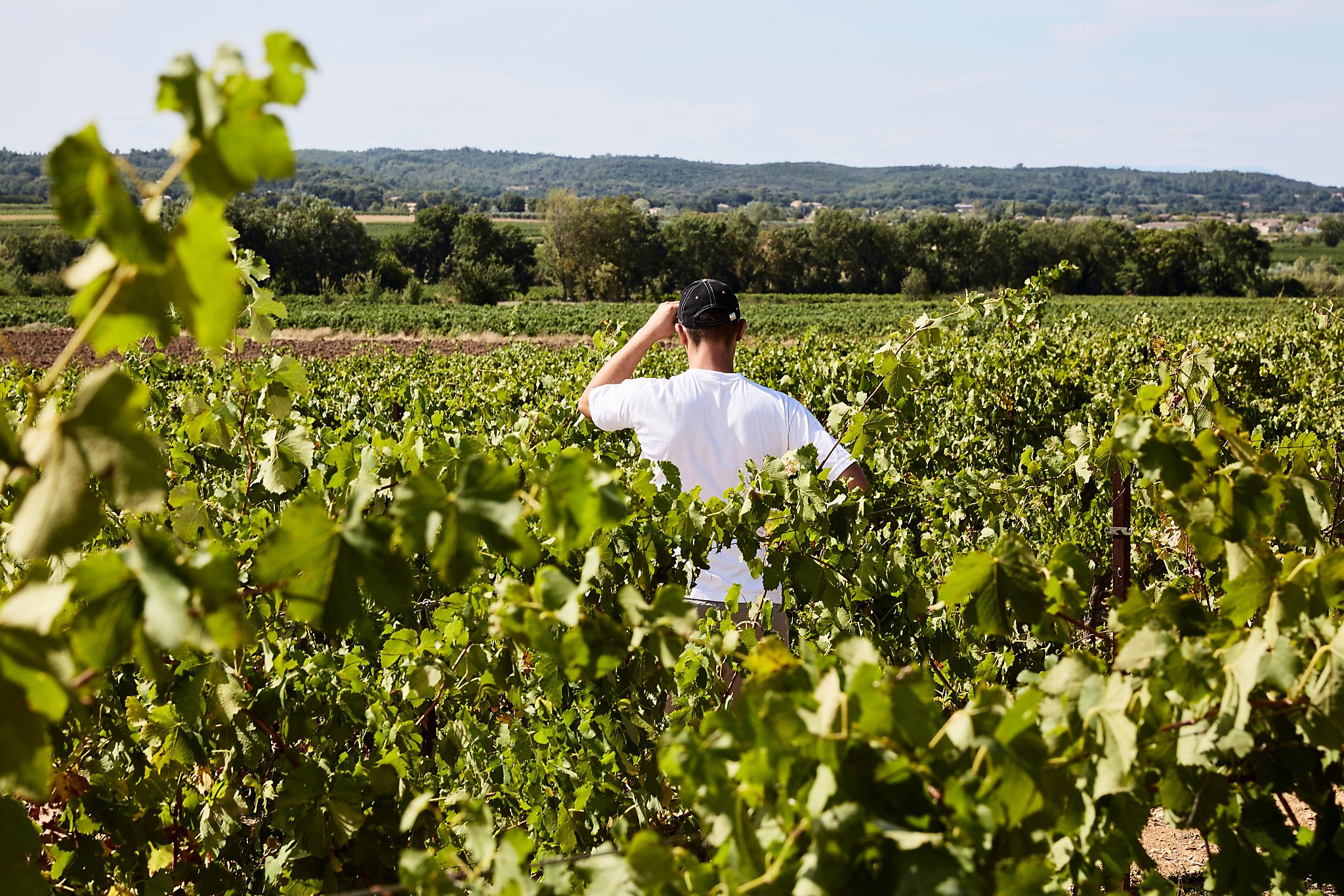 Wine war in southern France has streets running red