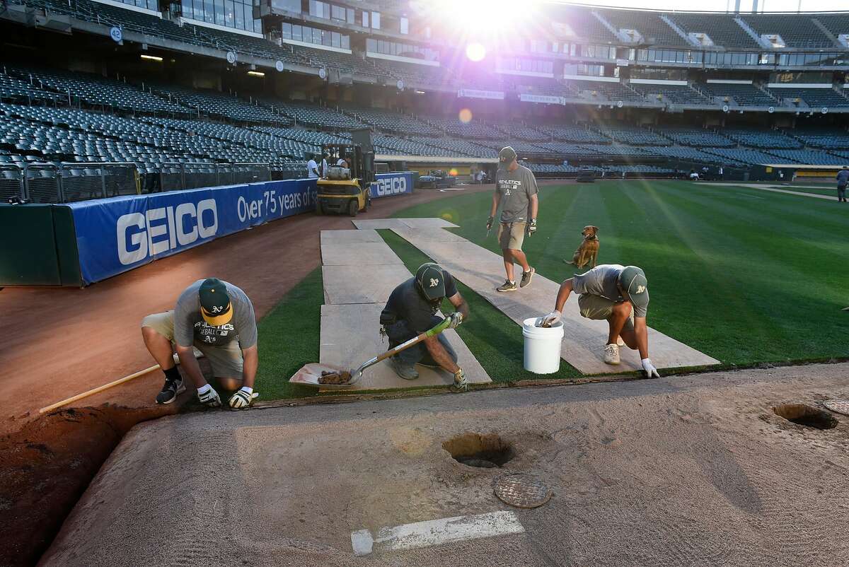 An ode to the Oakland Coliseum, the last twosport stadium dinosaur