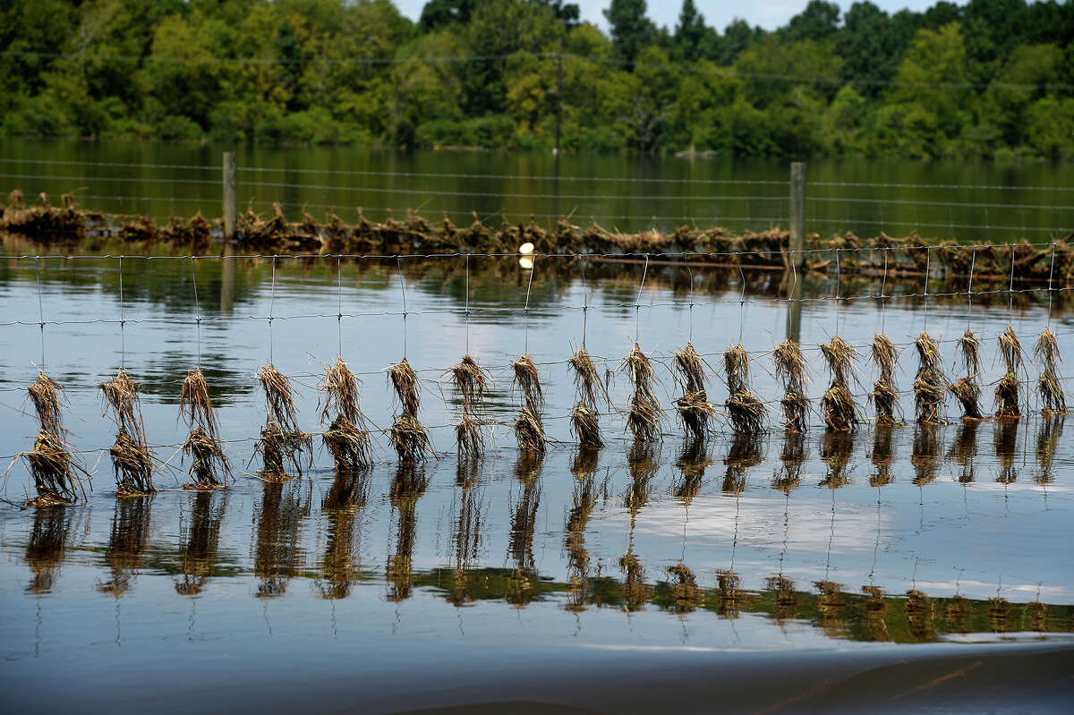 Hard to leave Sour Lake when only way is by boat