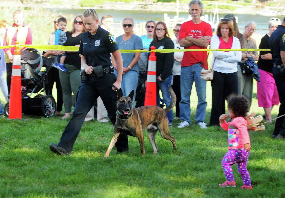 Stratford Police Show Off Thee New K9’s