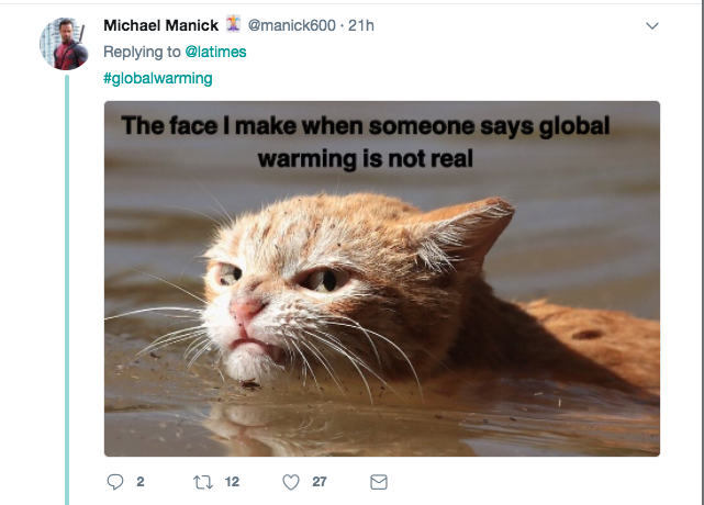 Photo of 'angry' cat in Harvey floodwaters sparks memes, controversy