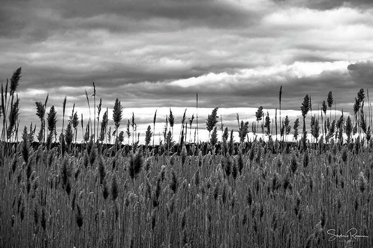 Why Danbury City Hall looks like a gallery