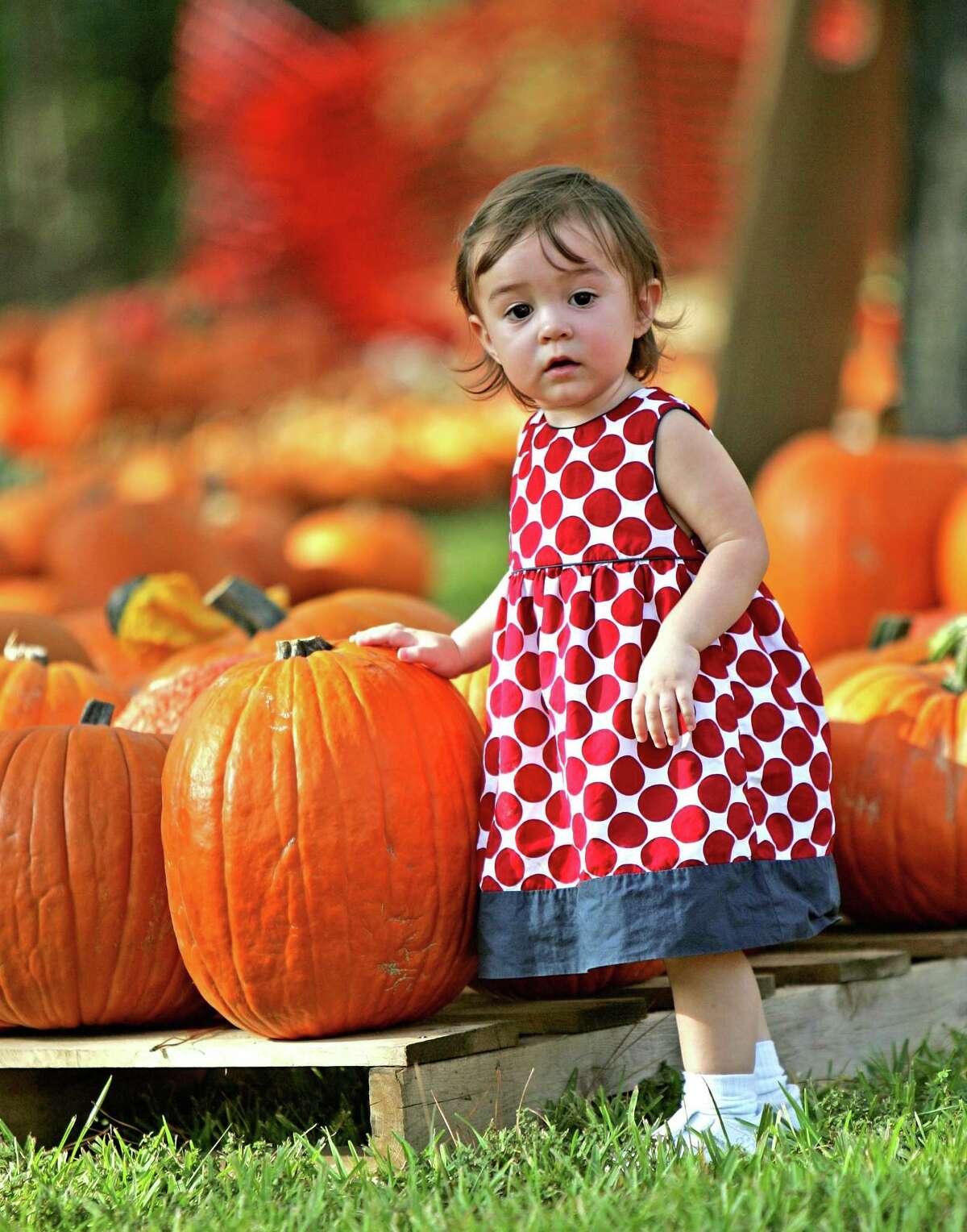 Trumbull Fall Festival this weekend