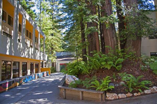 Uc Santa Cruz Begs Faculty To House Students Because Housing