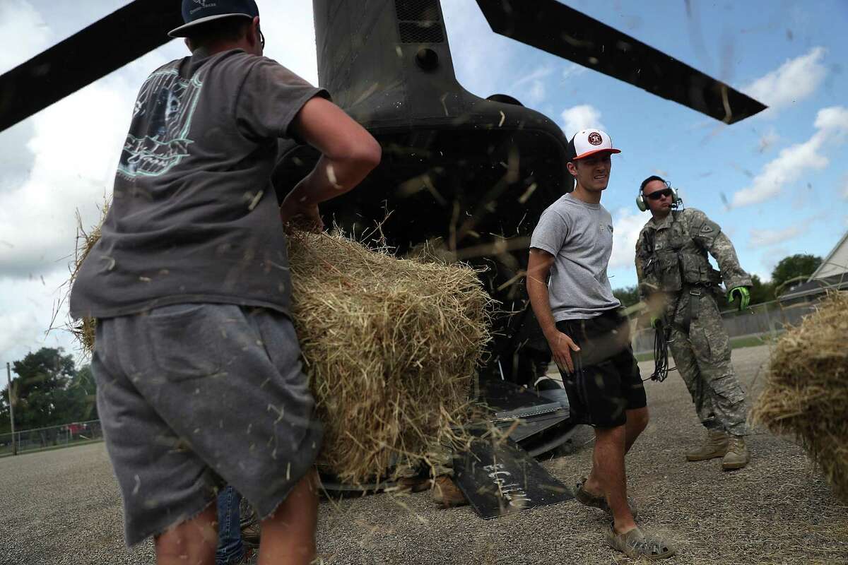 HAMSHIRE, TX - SEPTEMBER 05: Ranchers load bales of hay onto a Texas Army National Guard CH-74 Chinook helicopter at Hamshire-Fannett High School on September 3, 2017 in Hamshire, Texas. The Army National Guard is using helicopters to drop hay for cattle stranded in flooded areas near Beaumont. Over a week after Hurricane Harvey hit Southern Texas, residents are beginning the long process of recovering from the storm. (Photo by Justin Sullivan/Getty Images)