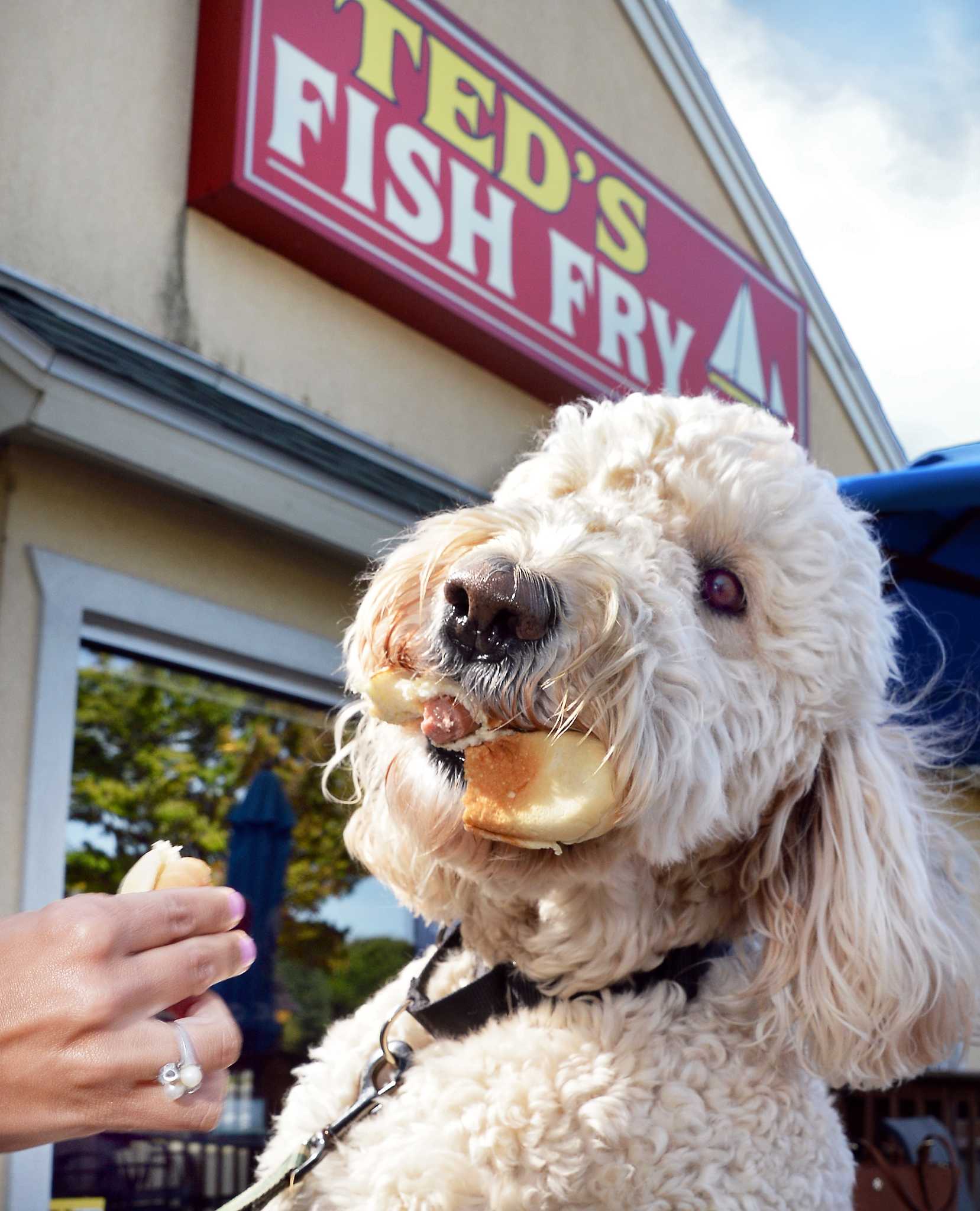 Ted's Fish Fry, multiple locations, 1940s