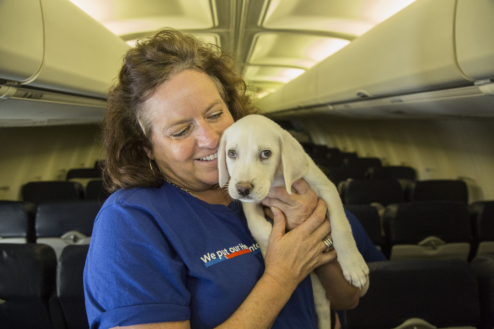 Southwest Airlines flew a plane full of dogs and cats from Texas to San Diego ...