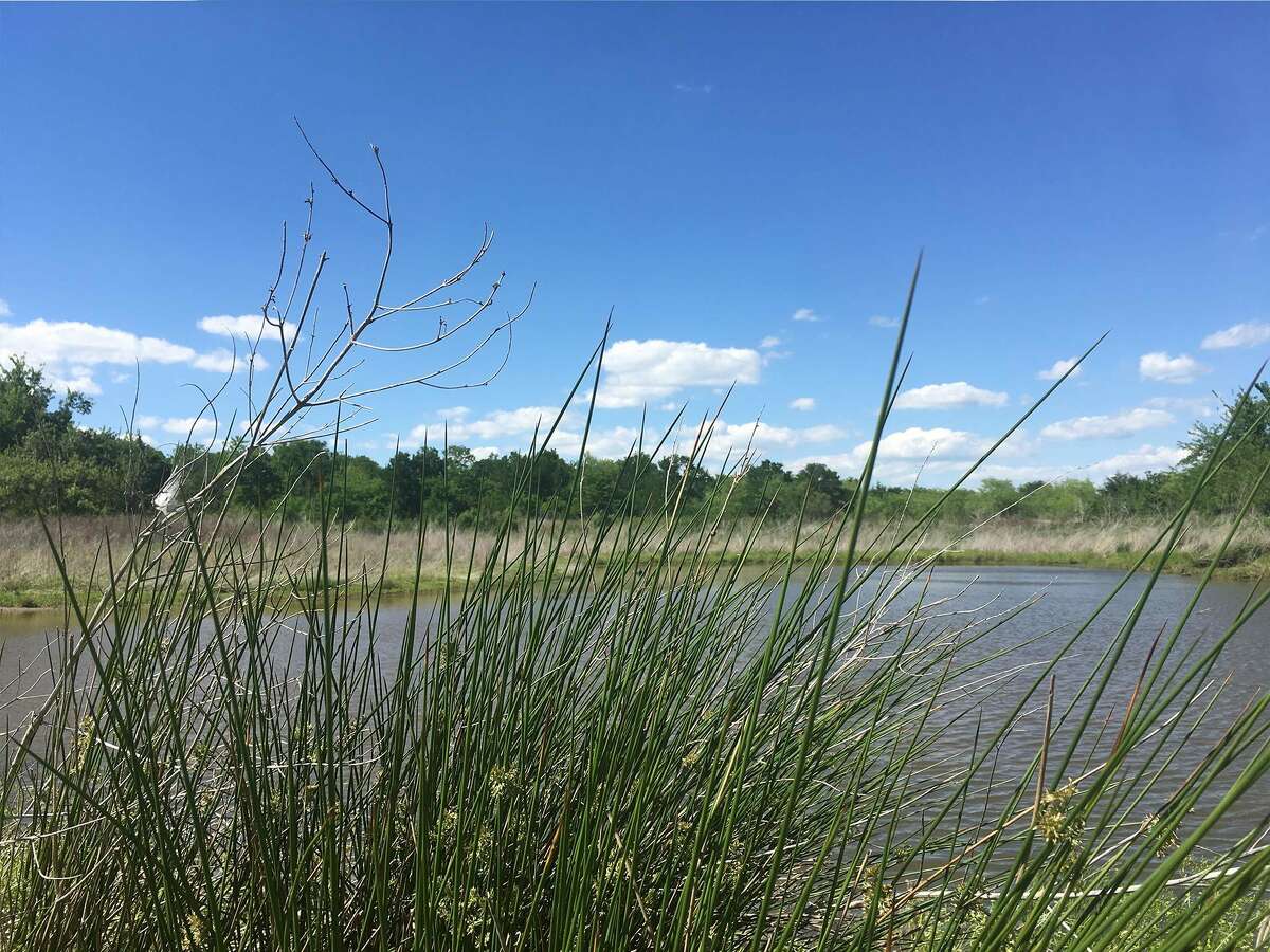 You can buy the Texas town called Mustang for 4 million