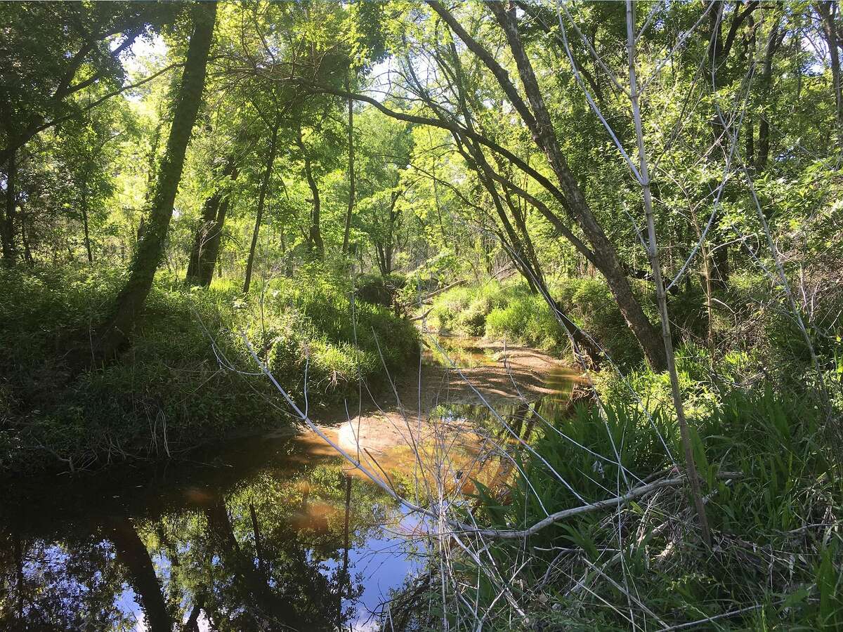 You can buy the Texas town called Mustang for 4 million