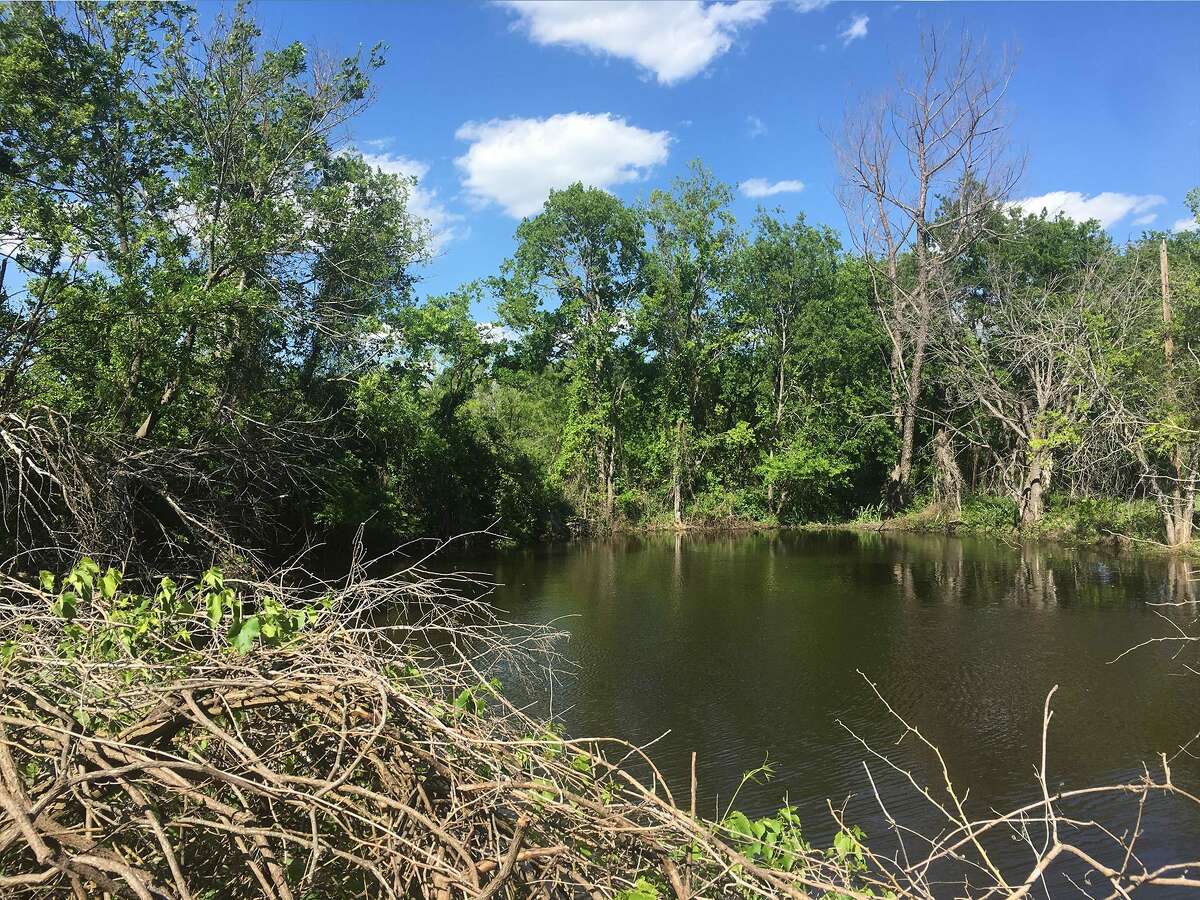 You can buy the Texas town called Mustang for 4 million