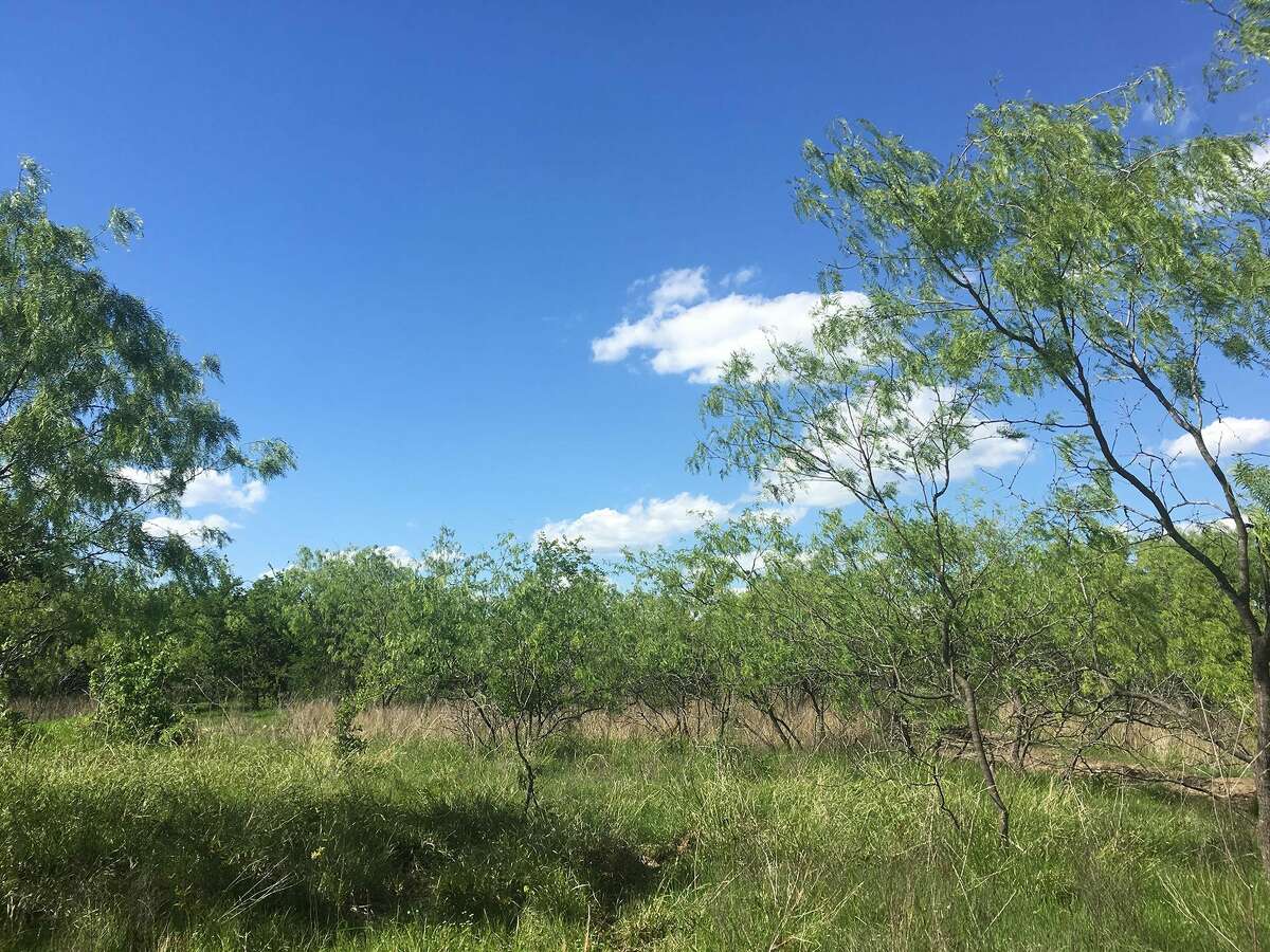 You can buy the Texas town called Mustang for 4 million