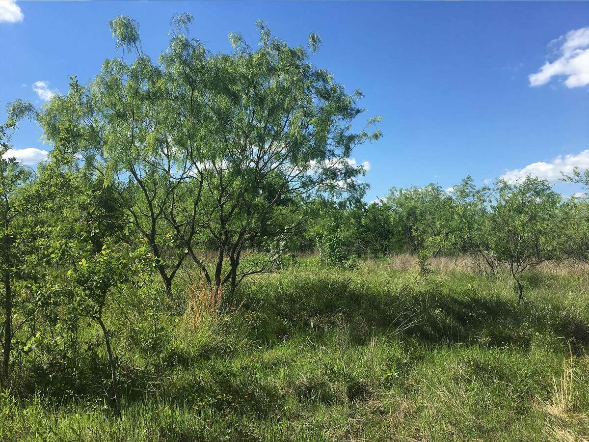 You can buy the Texas town called Mustang for 4 million