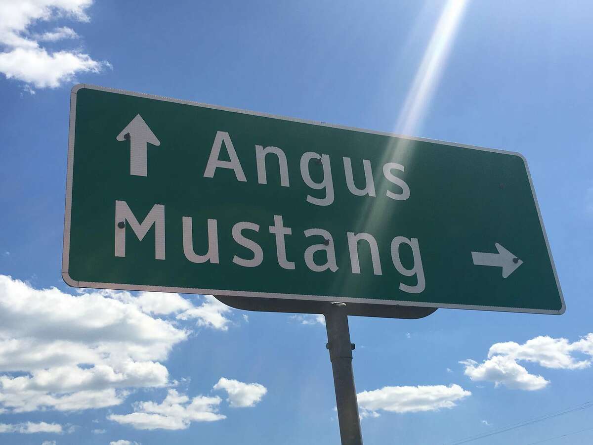 Mustang lies south of Dallas in Navarro County.