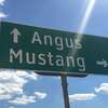 The Town of Mustang, Texas is on the market for $4 million. Mustang lies south of Dallas in Navarro County. 