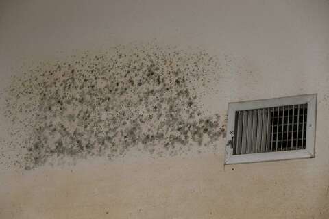 Take Precautions Dealing With Mold Houston Chronicle Linda Bonner Home Is Already Showing Signs Of Mold Wednesday Sept 6 2017