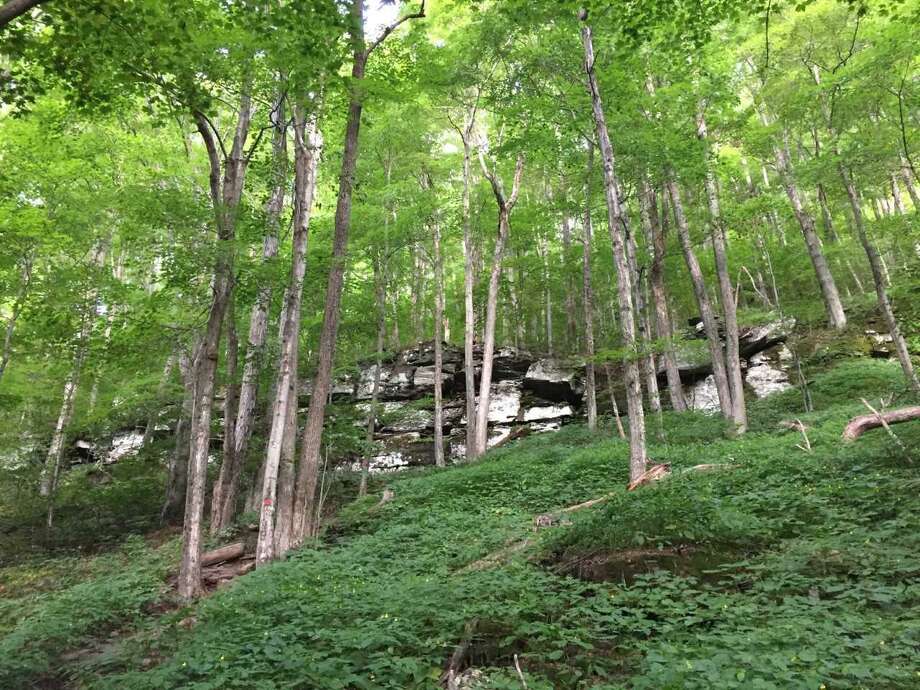 Taking a hike From the Devil’s Tombstone to the Colonel’s Chair The Hour
