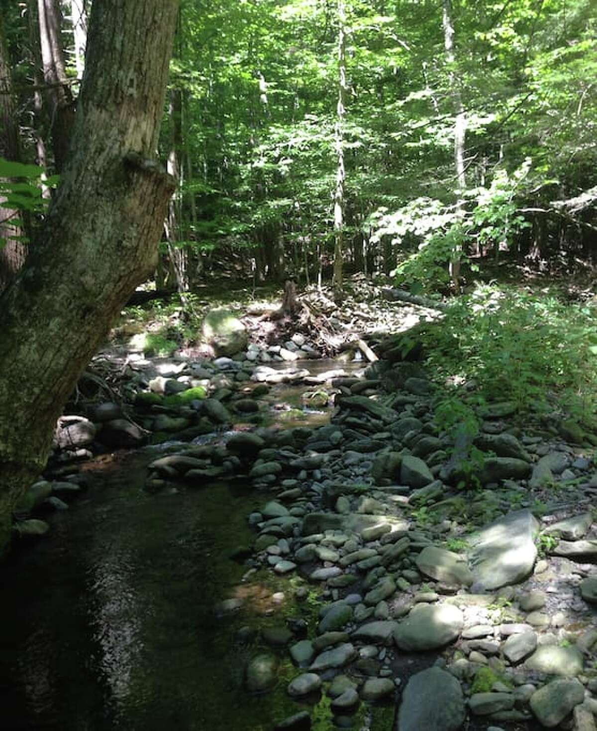 Photos Airbnb fall getaways