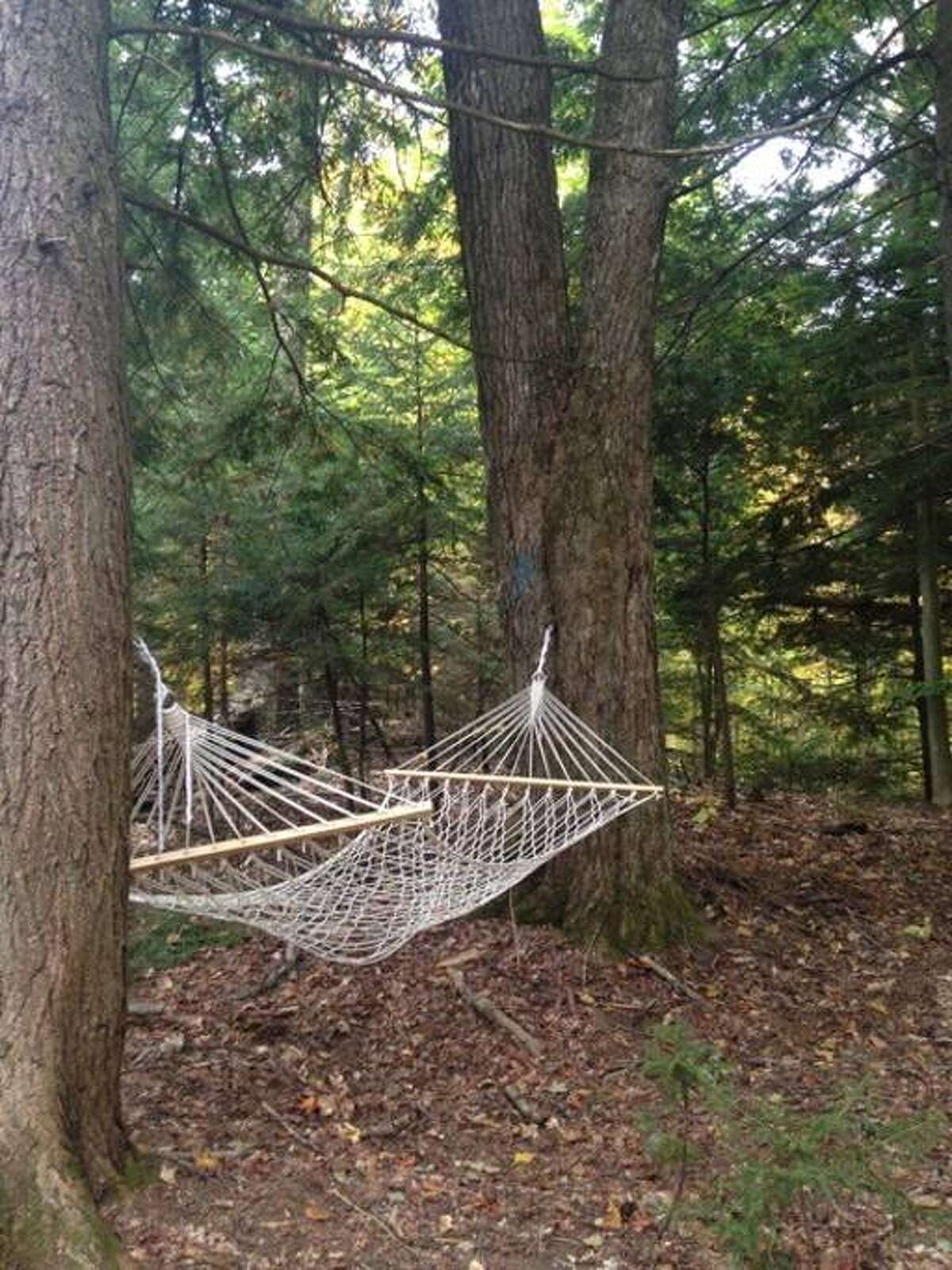 Photos Airbnb fall getaways