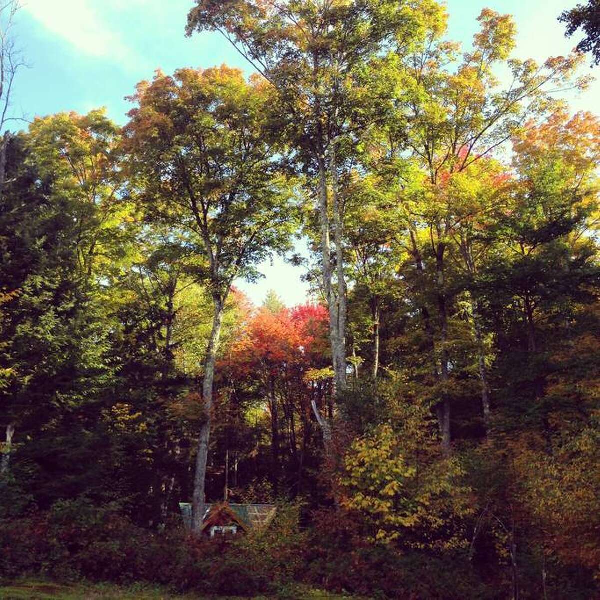 Photos Airbnb fall getaways