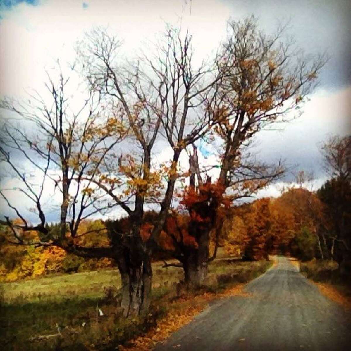 Photos Airbnb fall getaways