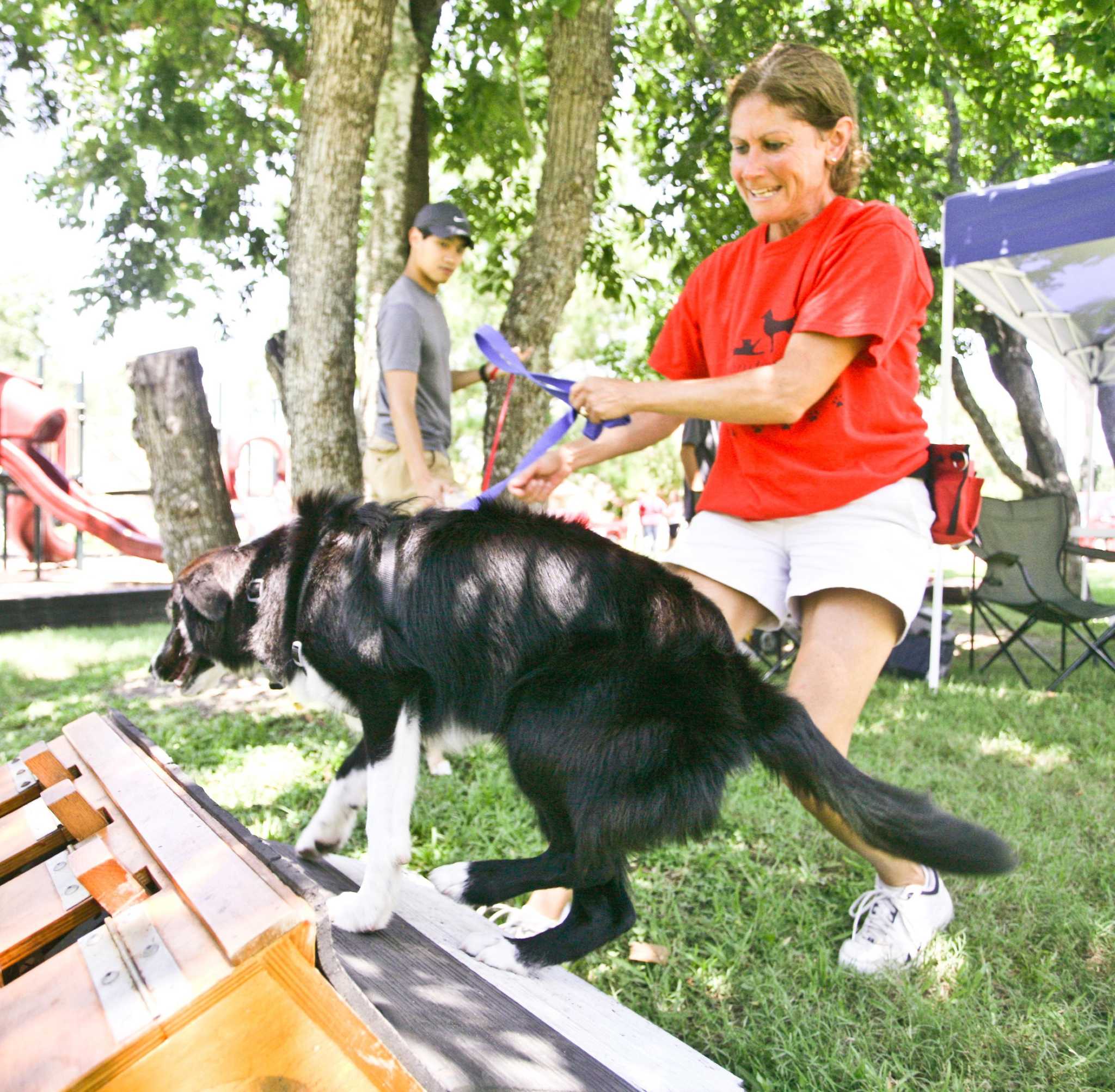 You can — and should — teach an old dog new tricks