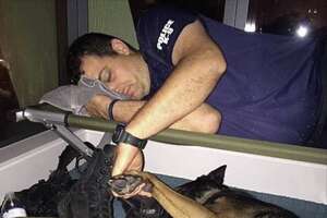 Police officer falls asleep holding K9's paw after Hurricane Irma