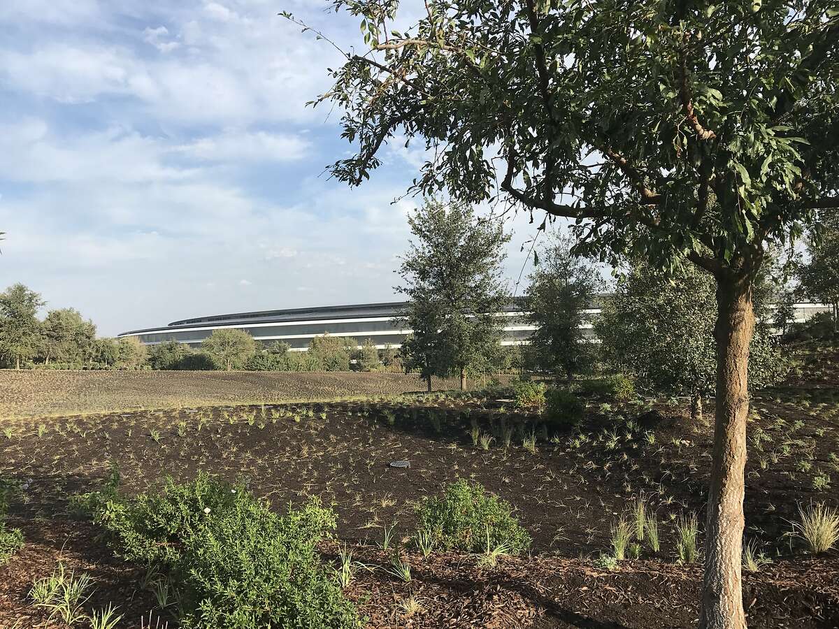 Invited guests, analysts and press gather at new Steve Jobs Theater on the Apple Park campus in Cupertino Tuesday for Apple's annual unveiling of its latest iPhone modles