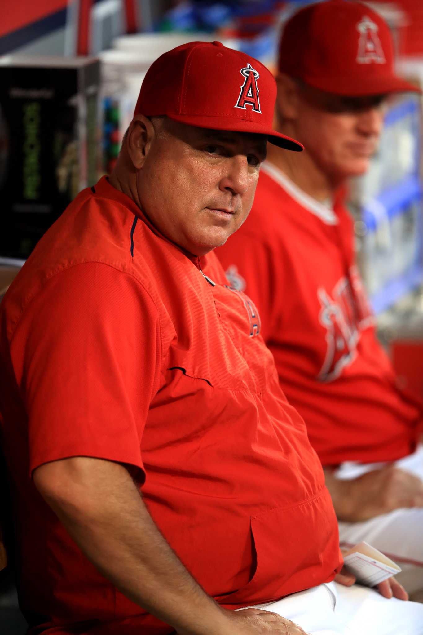 Mike Scioscia denies report he will step down as Angels manager