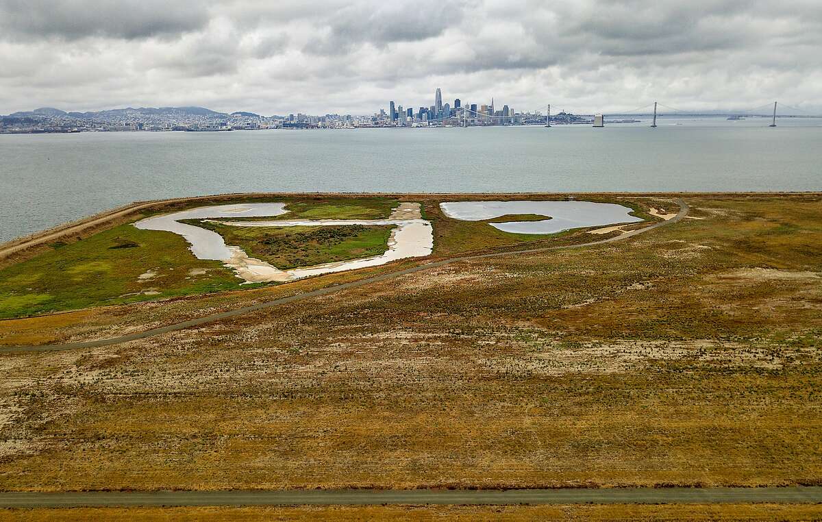 Grasslands cover an edge of Alameda Point, former site of the Naval Air Station Alameda, on Wednesday, Sept. 13, 2017, in Alameda, Calif. Resilient by Design Bay Area Challenge participants are examining the site as part of their efforts to find adaptations to climate change.