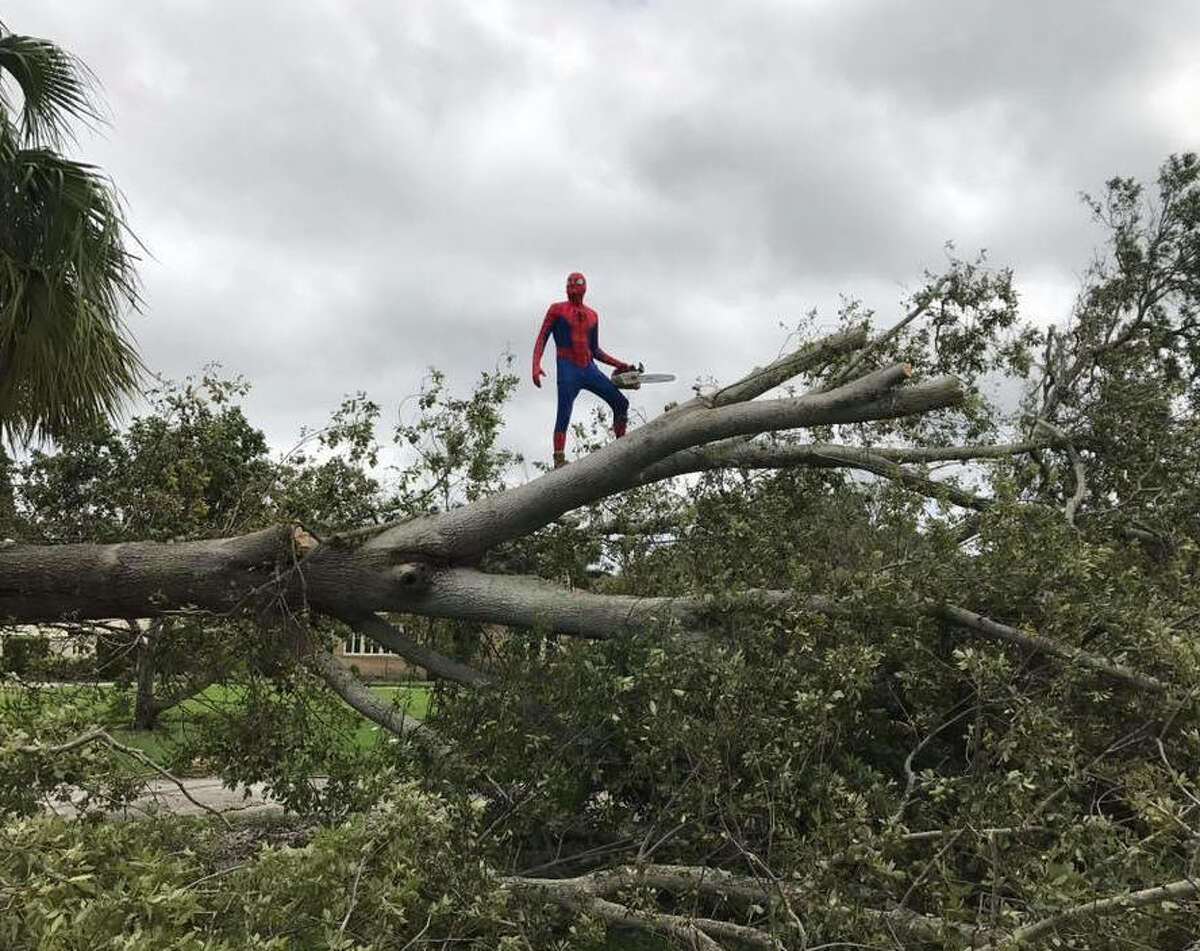 Cheryl Hanbury of Bradenton, Florida took pictures of "Spider-Man" cutting down trees after Hurricane Irma hit.See the destruction Irma left in the Caribbean islands and Florida up ahead. 