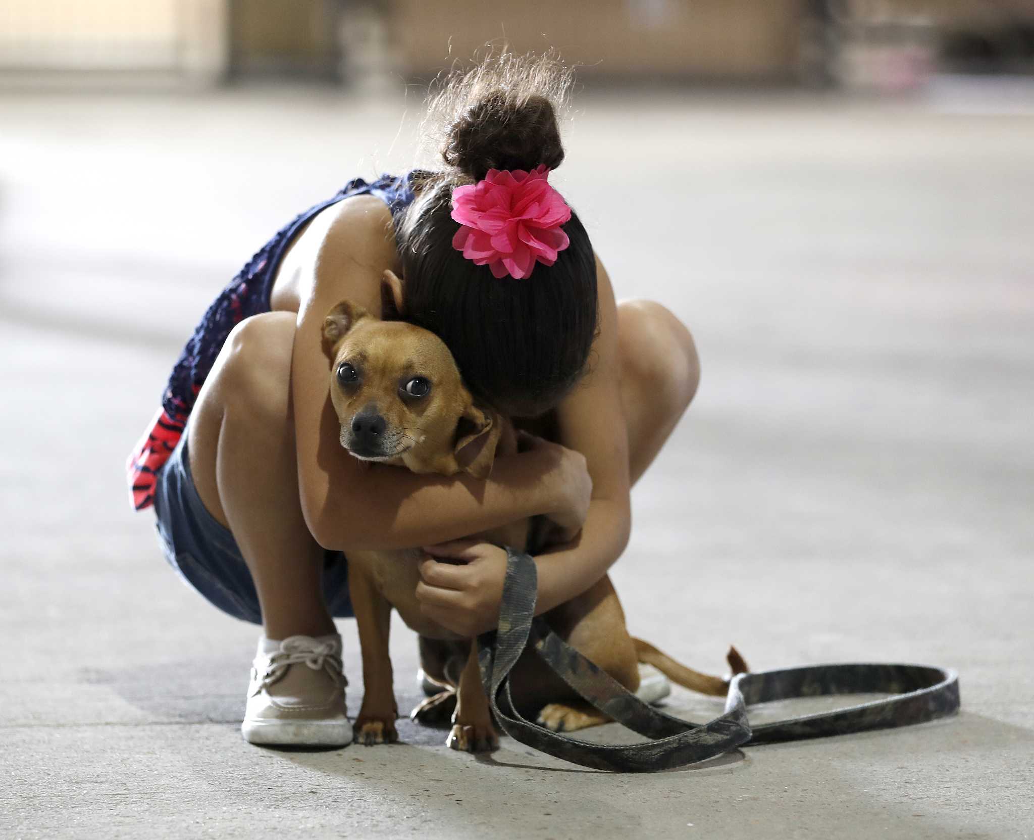 Stressed about Harvey's aftermath? There's a hotline for that.