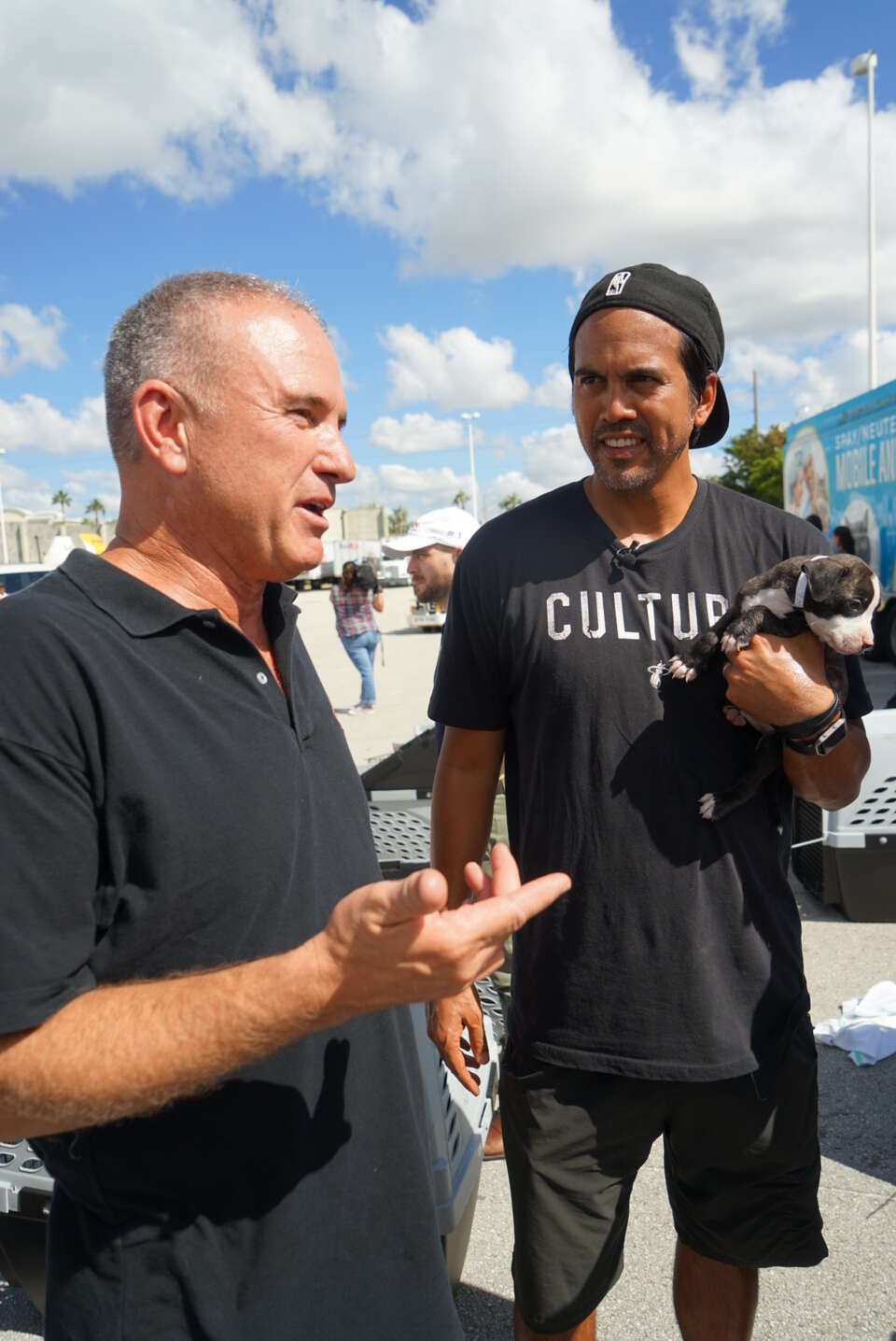 Warriors Greet 150 Cats And Dogs That Fled Irma At Oakland Airport