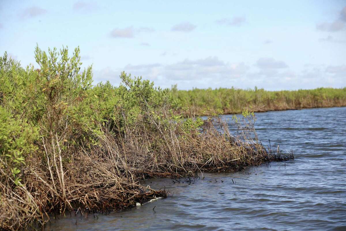 As demand for water grows, Guadalupe Delta faces big challenges