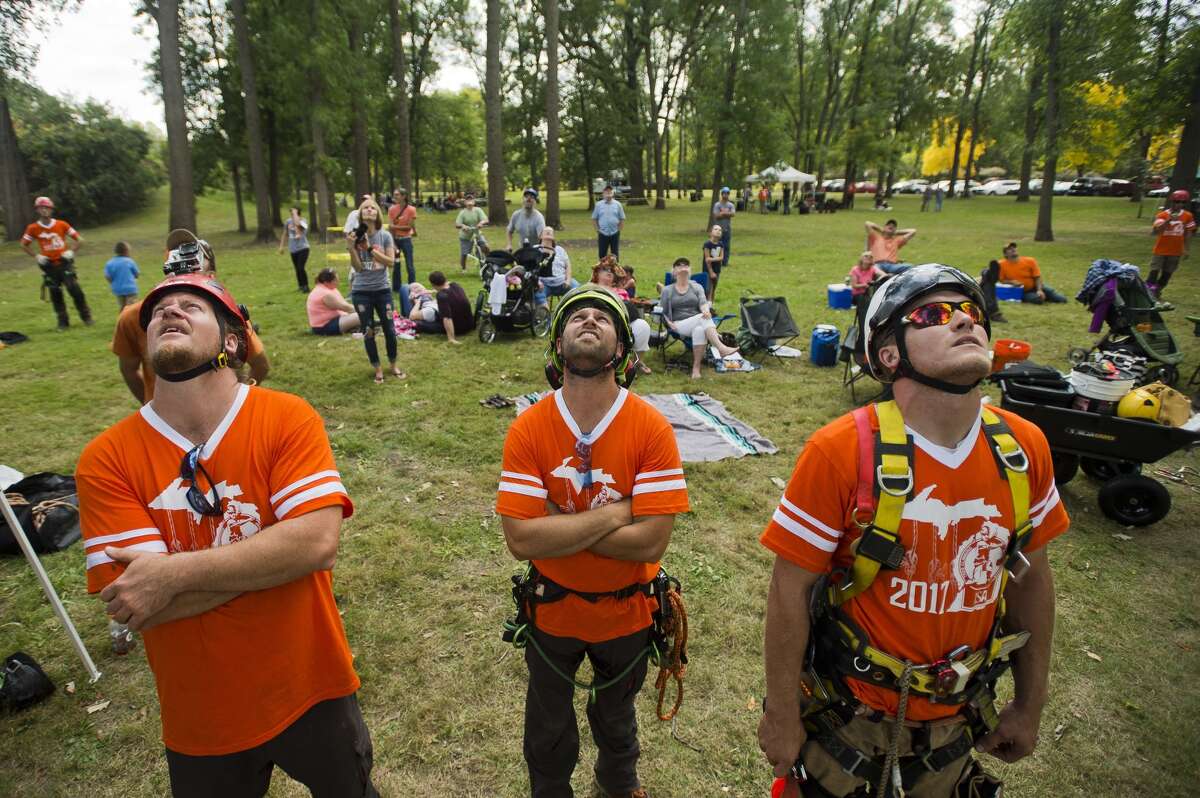 Michigan Tree Climbing Championship held at Emerson Park