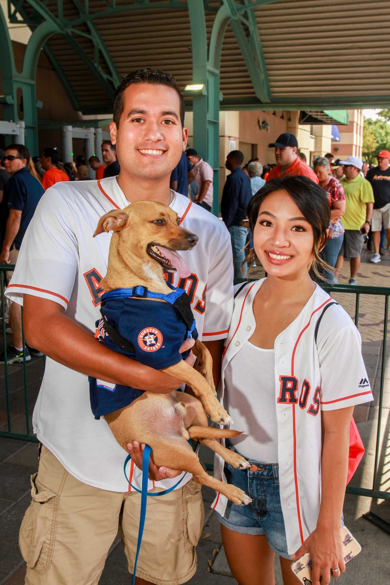 Astros' Dog Day brings all the good doggos to Minute Maid Park