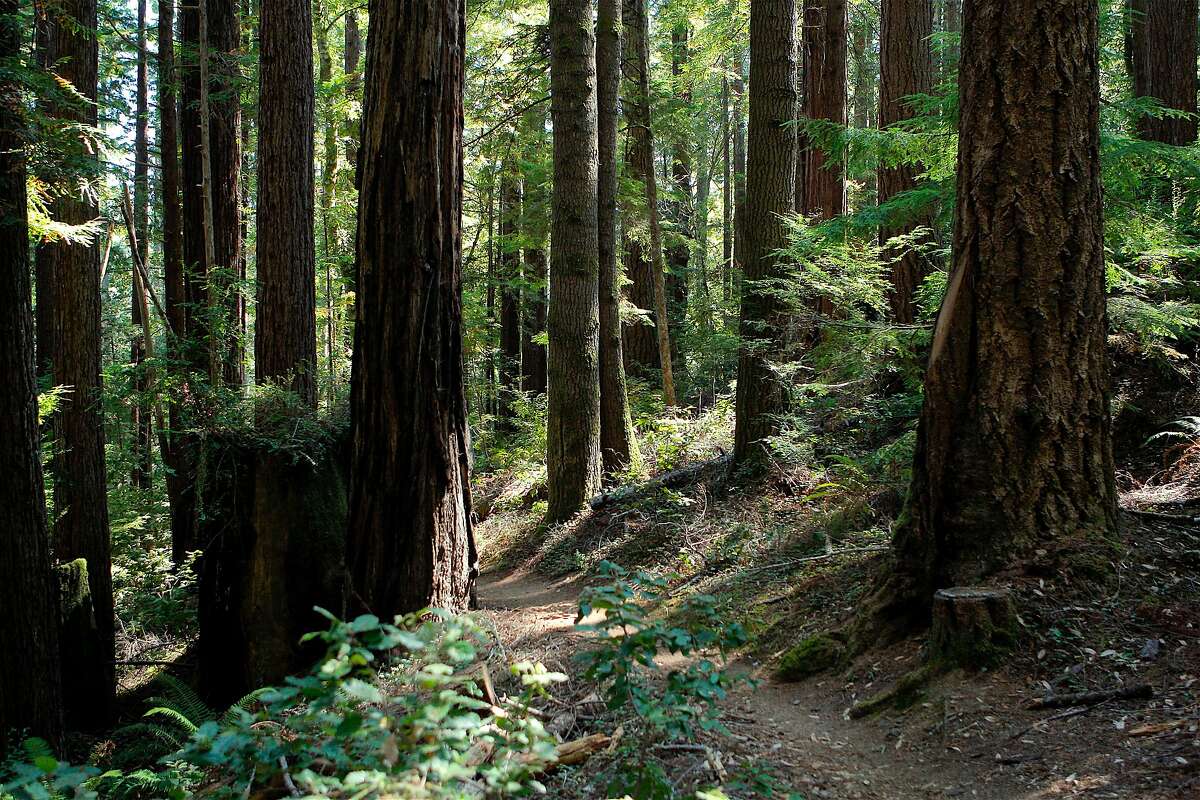 The 10 best things to do in Mendocino County