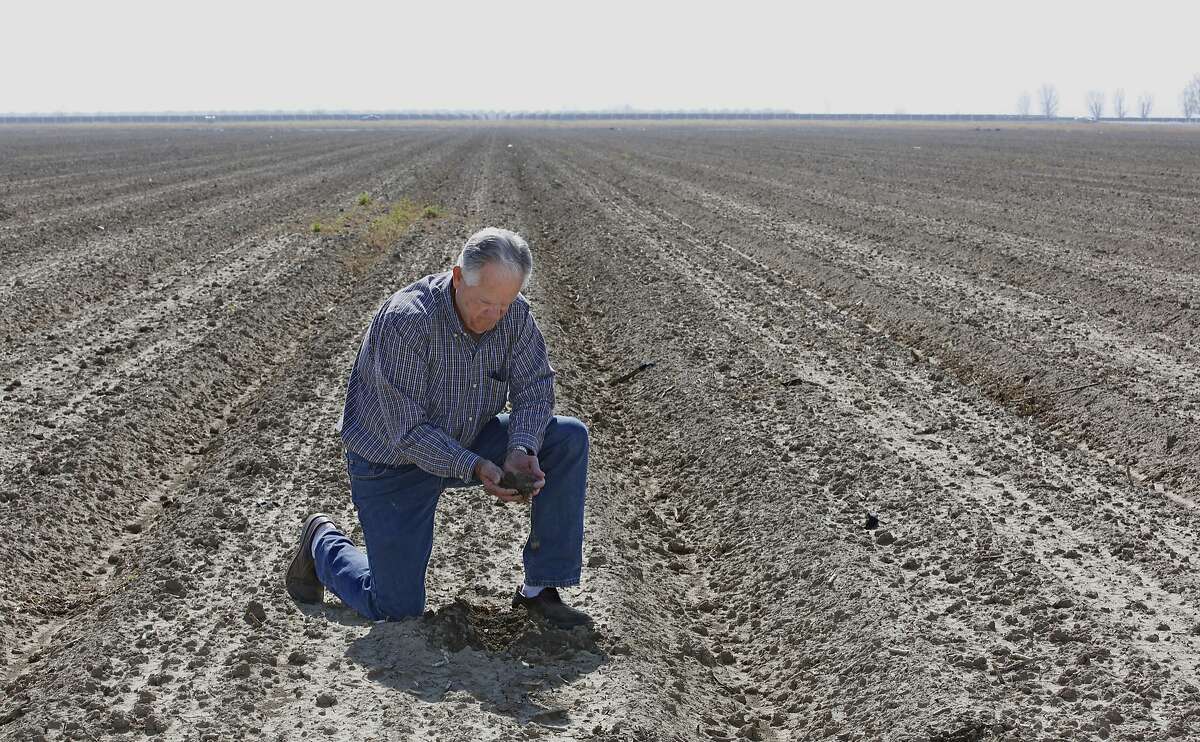 In this Thursday, Feb. 25, 2016 photo, Mike Stearns, chairman of the San Luis & Delta-Mendota Water Authority, checks the soil moisture on land he manages near Firebaugh, Calif. Stearns, who had to fallow thousands of acres of land due to water cutbacks during California's historic drought, supports a proposed tunnel to ship water from the Sacramento River to Southern California. (AP Photo/Rich Pedroncelli)
