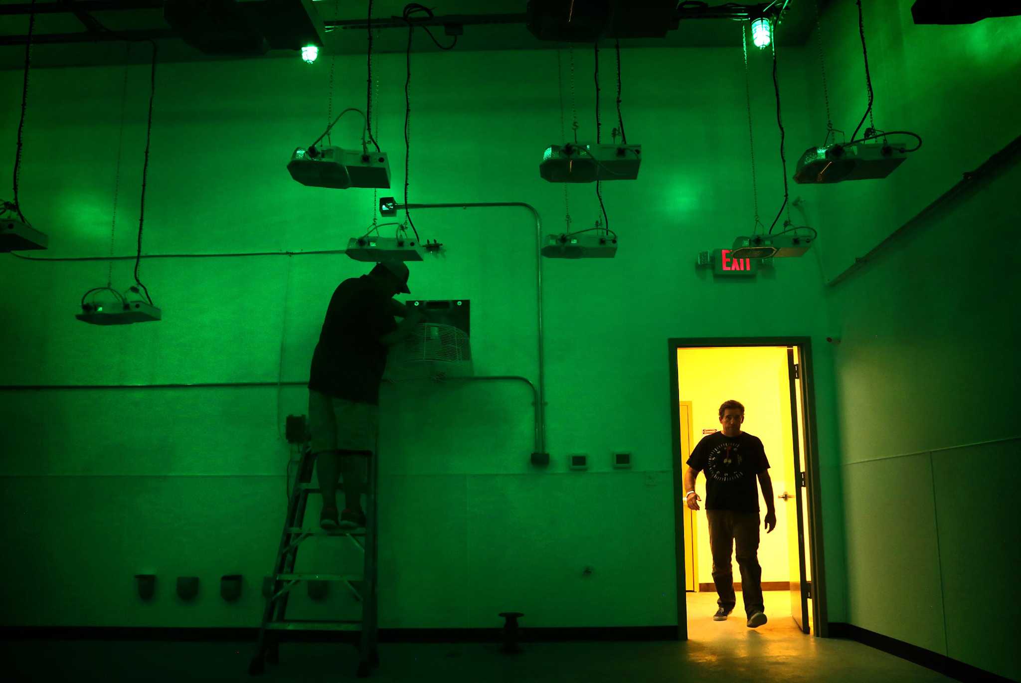 Medical marijuana dispensaries to open in Texas by early 2018