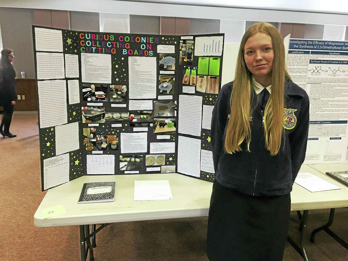 FFA students enter agriscience projects in national fair