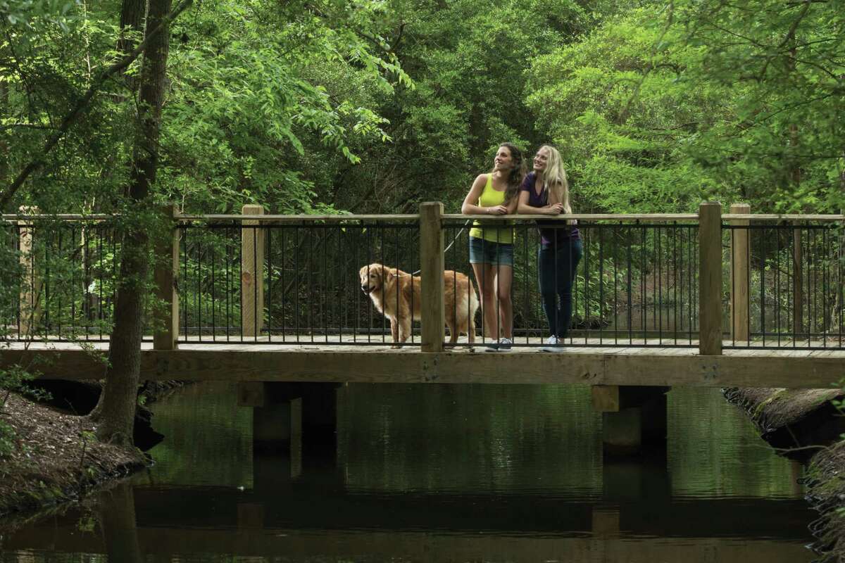 A picture of Goldie on Tamarac bridge with two young models -- one who has since become a Hollywood actress -- became a staple at the original The Woodlands Visitor Information Center on Woodlands Parkway. The picture was later recreated when the two girls got older.