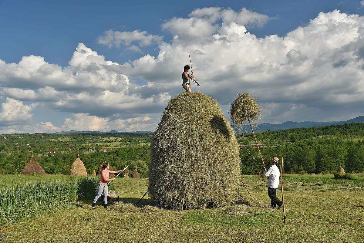 Much of the Romanian countryside is an old-fashioned world where most farm work is done by hand with simple, traditional tools.