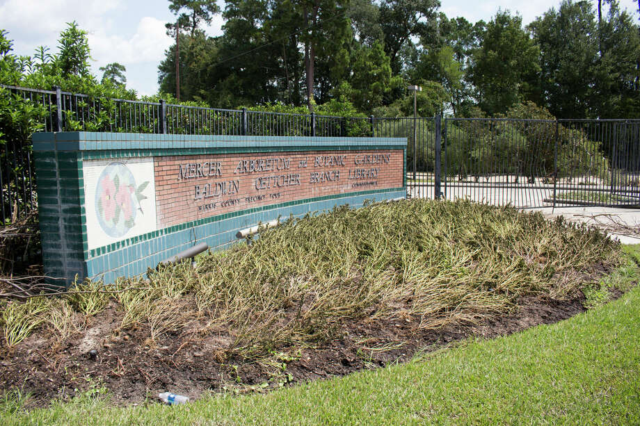 Mercer Botanic Gardens Faces A Massive Recovery After Harvey