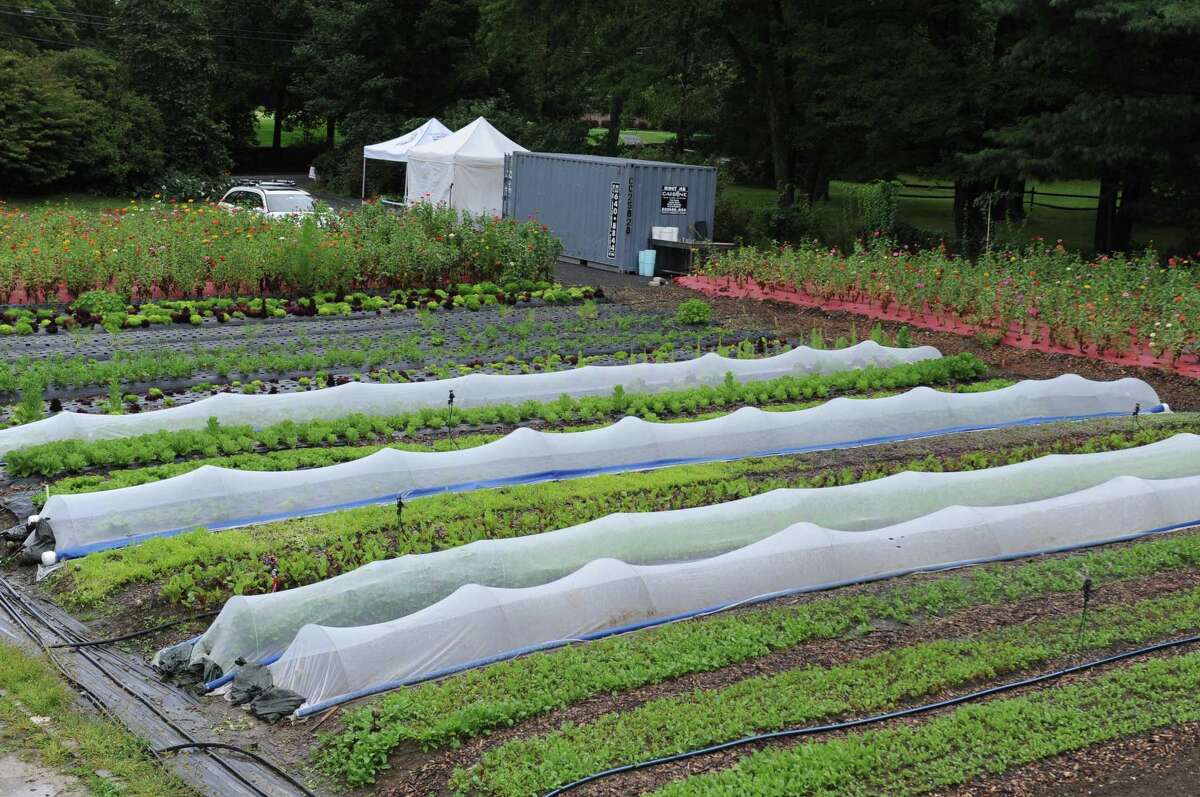 Versailles Farms Working ‘simpatico with the land’