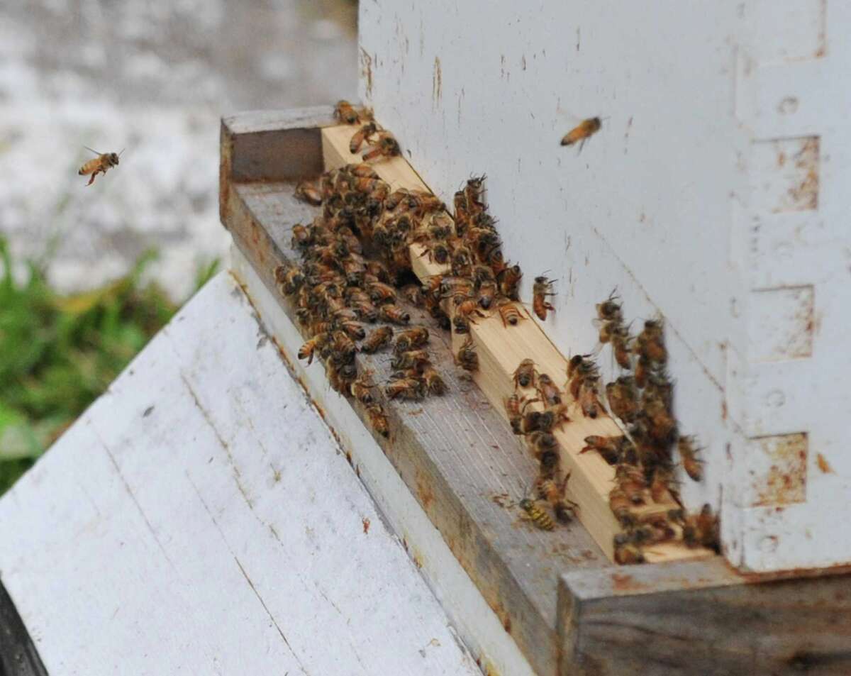 Versailles Farms Working 'simpatico with the land'