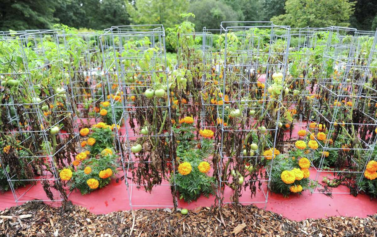 Versailles Farms Working ‘simpatico with the land’