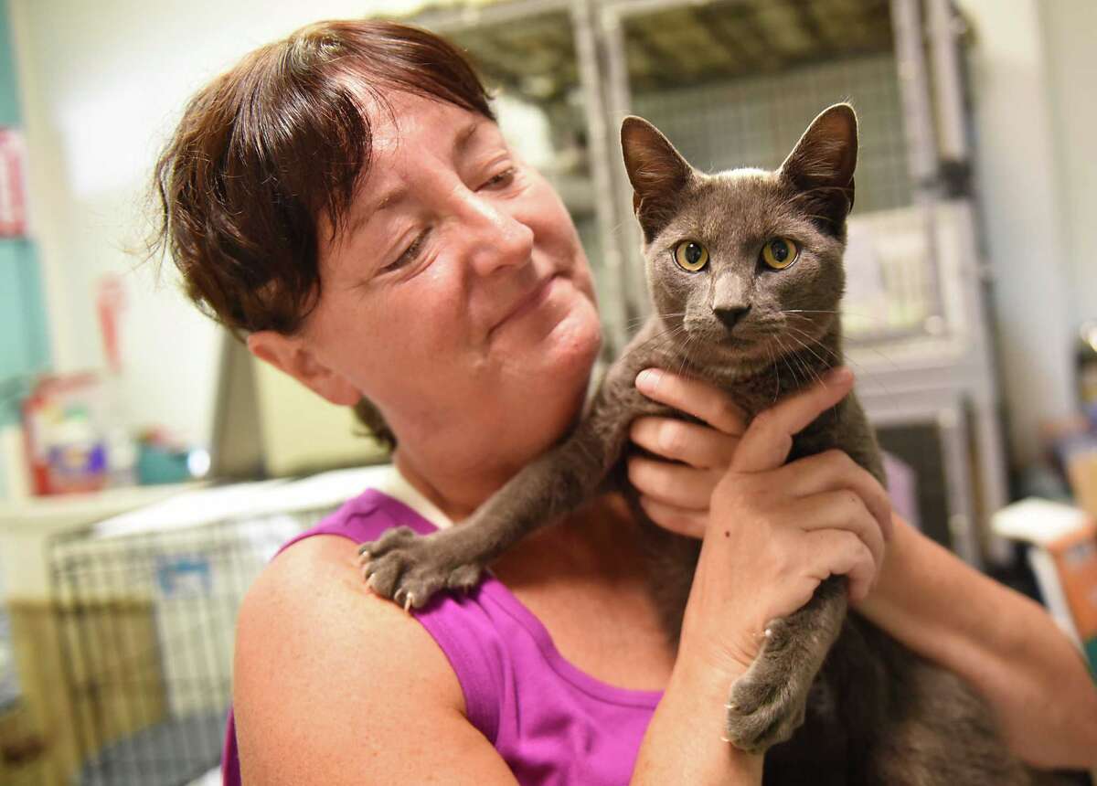 Pets rescued from hurricane zones prepare for Capital Region adoptions